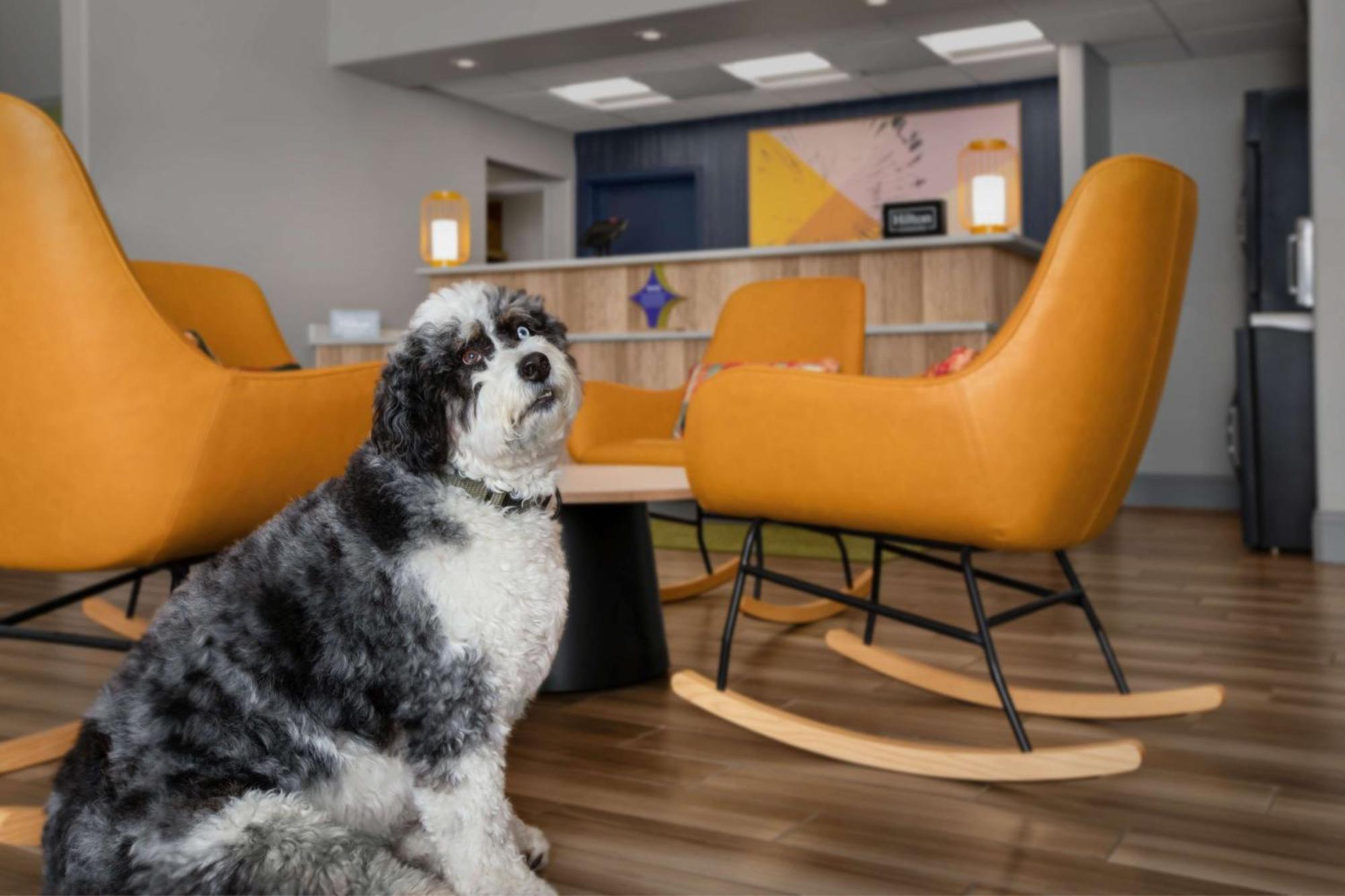Spark By Hilton Albuquerque North I-25 Εξωτερικό φωτογραφία